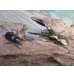 画像5: ☆新成虫☆メタリフェルホソアカクワガタ（サンギレンシス）♂58ミリ♀フリーサイズペア販売！！ (5)
