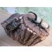 画像5: ☆新成虫☆グラントシロカブト♂76ミリ♀54ミリペア販売！！ (5)