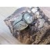 画像4: ☆新成虫☆グラントシロカブト♂59ミリ♀49ミリペア販売！！ (4)