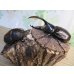 画像5: ☆新成虫☆D.H.オキシデンタリス♂113ミリ♀66ミリペア販売！！ (5)