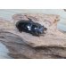 画像4: ☆新成虫☆マンディブラリスフタマタクワガタ（赤マンディ）♂74ミリ♀43ミリペア販売！！ (4)