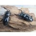 画像5: 27年種親用☆DV産☆ウエストウッディ オオシカクワガタ♂58ミリ♀44ミリ新成虫ペア販売！！ (5)