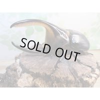 ☆稀少人気種☆サタンオオカブト♂100ミリ♀65ミリ新成虫ペア販売！！