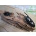 画像5: ☆新成虫☆ギラファノコギリクワガタ（亜種ダイスケ）♂100ミリ♀52ミリペア販売！！ (5)