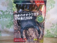 ☆新刊☆BE-KUWA100号入荷！！