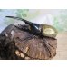 画像1: ☆新成虫☆D.H.ヘラクレス♂114ミリ♀61ミリペア販売！！ (1)