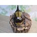 画像3: ☆新成虫☆D.H.ヘラクレス♂127ミリ♀63ミリペア販売！！ (3)