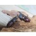 画像5: ☆稀少人気種☆ラティオキナティブス♂32ミリ♀27ミリ新成虫ペア販売！！ (5)