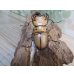 画像3: ☆新成虫☆メンガタメリークワガタ♂50ミリ前後♀フリーサイズペア販売！！ (3)