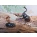 画像5: ☆新成虫☆海南シカクワガタ♂45ミリ♀フリーサイズペア販売！！ (5)