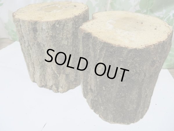 画像2: 特選☆愛知県産クヌギ産卵材3Lサイズ販売‼ (2)