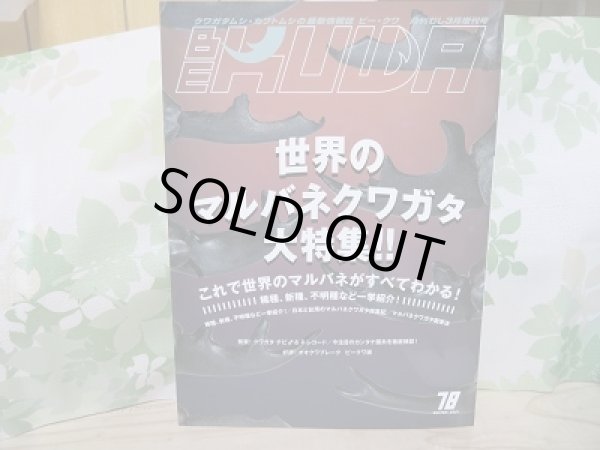 画像1: ☆BE-KUWA78号入荷！！ (1)