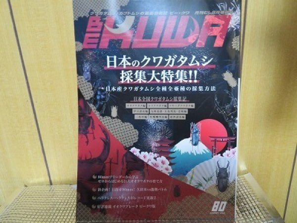 画像1: ☆BE-KUWA 80号入荷！！ (1)