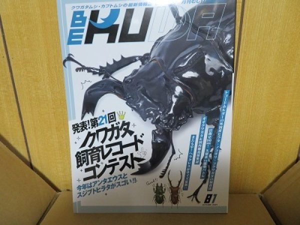 画像1: BE-KUWA81号入荷！！ (1)