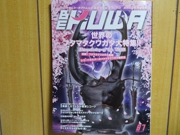 画像1: 新刊☆BE-KUWA87号入荷！！ (1)