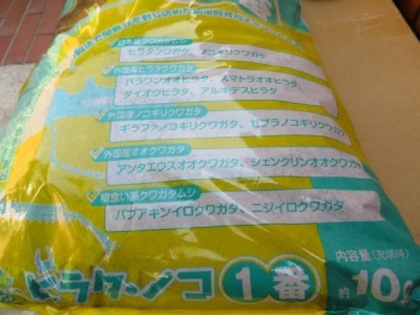 画像2: ☆フォーテック製☆ヒラタ ノコ1番 10ℓ入り (2)