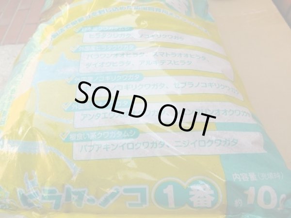 画像2: ☆フォーテック製☆ヒラタ　ノコ1番　10ℓ入り (2)