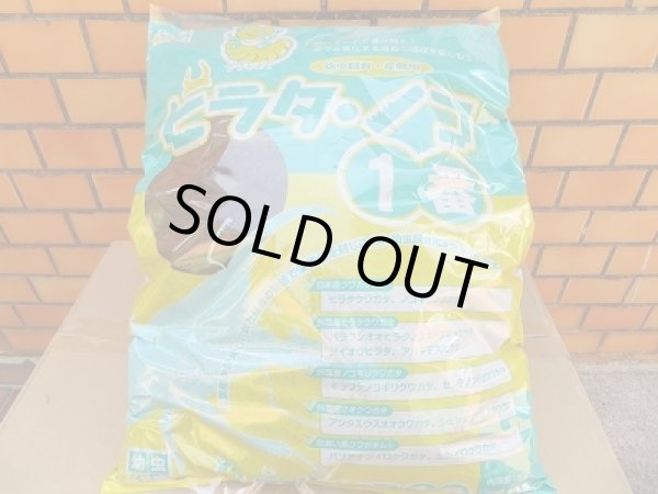 画像1: ☆フォーテック製☆ヒラタ　ノコ1番　10ℓ入り (1)