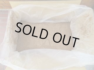 産卵一番　8つ フォーテック 産卵1番のおすすめ人気商品一覧 通販 - Yahoo!ショッピング