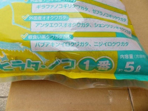 画像2: ☆フォーテック製☆ヒラタ ノコ1番 5ℓ入り (2)