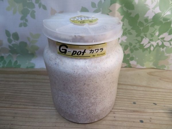 画像1: フォーテック製☆G-potカワラ ☆1500ｃｃ (1)