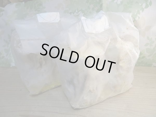 画像2: 培養材☆カワラ材☆Mサイズ×2本入り (2)