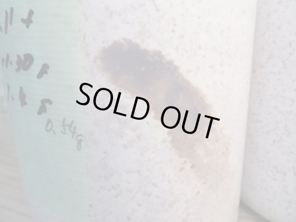 画像2: フォーテック製☆ブナ100%×ヒラタケ 菌床ボトル850cc (2)