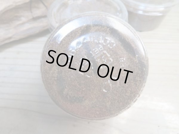 画像2: 限定2セットのみ☆DV産☆ウエストウッディオオシカクワガタ(原名亜種)初二令幼虫3頭セット販売!! (2)