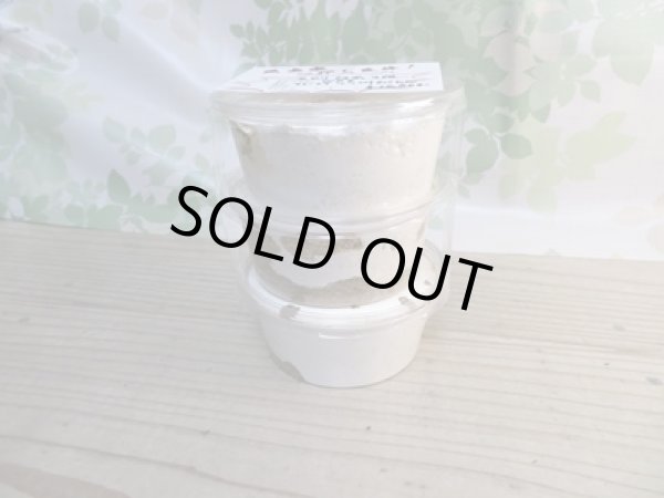 画像1: 稀少産地☆WF2☆モセリオウゴンオニクワガタ幼虫3頭セット販売!! (1)