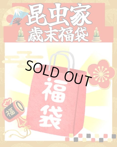 画像1: 昆虫家☆歳末福袋2025☆10万円コース販売！！ (1)