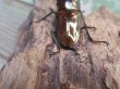 画像3: ☆新成虫☆メタリフェルホソアカクワガタ（サンギレンシス）♂76ミリ♀フリーサイズ別血統ペア販売！！ (3)
