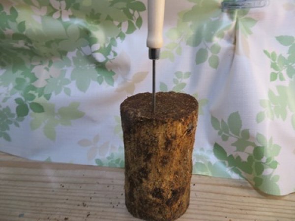 画像4: new!バクテリア材⚡産だぁーV⚡ML材2本入り (4)