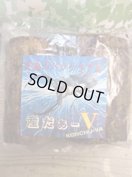 画像1: new!バクテリア材⚡産だぁーV⚡ML材2本入り (1)