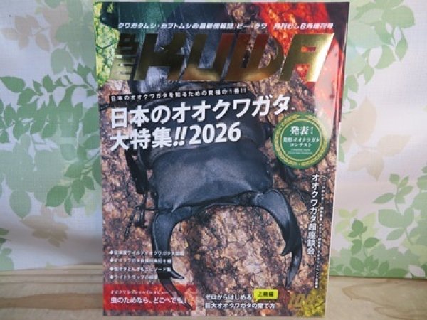 画像1: ☆新刊☆BE-KUWA100号入荷！！ (1)